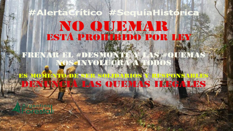 El Servicio Nacional de Manejo de Fuego anticipó que habrá más riesgos de incendios forestales para el verano en el país
