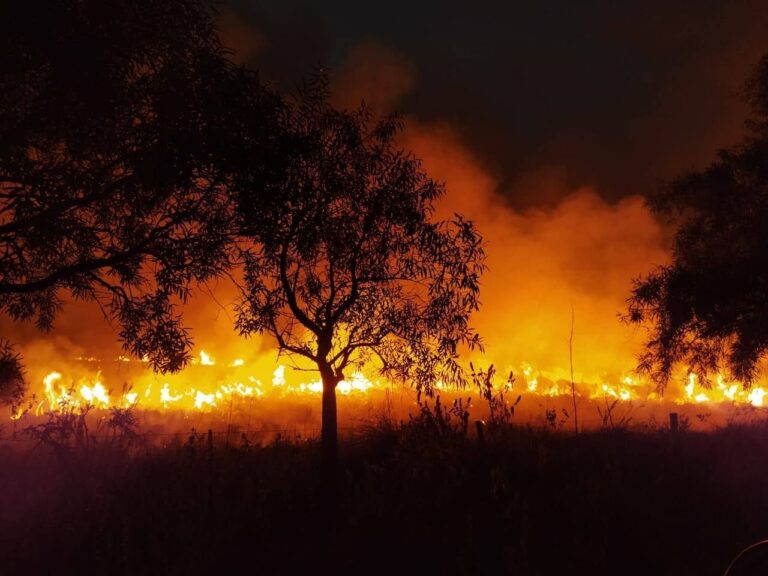 Las lluvias extinguieron los incendios en Corrientes