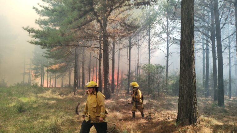 Misiones en alerta máxima e incrementos en quemas ilegales: «A pesar de que rige la prohibición de usar el fuego frente a las condiciones climáticas extremas, hay irresponsables que siguen quemando»