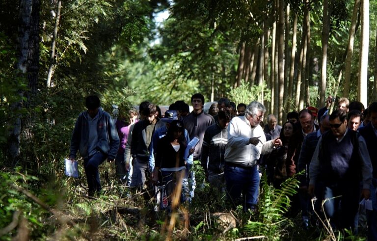 Misiones | Profesionales forestales reclaman al Gobierno Nacional preservar el rol estratégico del INTA para el desarrollo productivo