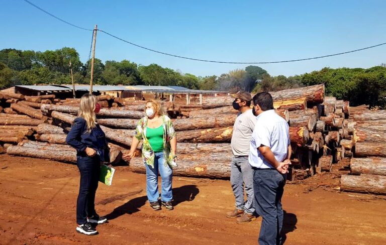 Corrientes: con la instalación de cinco aserraderos buscan sumar a la red provincial al Parque Industrial de San Carlos