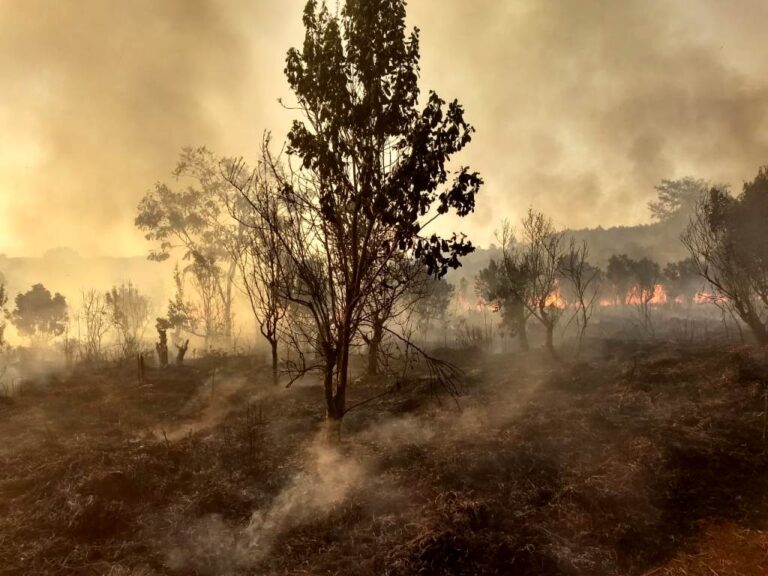 Llevan a la Corte Penal Internacional el debate por la figura de «ecocidio», una nueva definición de un delito contra el planeta