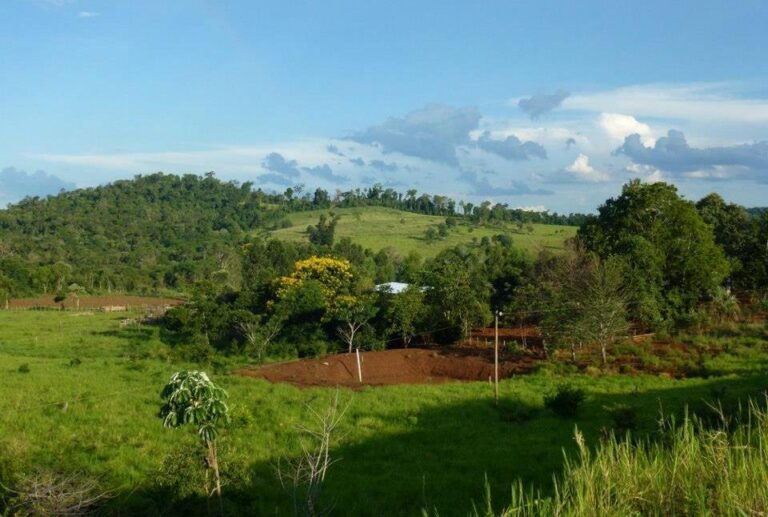 Misiones: Andresito es el primer municipio de la provincia en crear corredores de conservación y desarrollo basados en un régimen de quita de impuestos a los propietarios