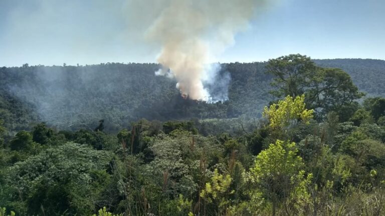 Misiones: gobierno provincial endurece las medidas de control y anunció que «se multará y denunciará ante la Justicia» a quienes realicen quemas ilegales