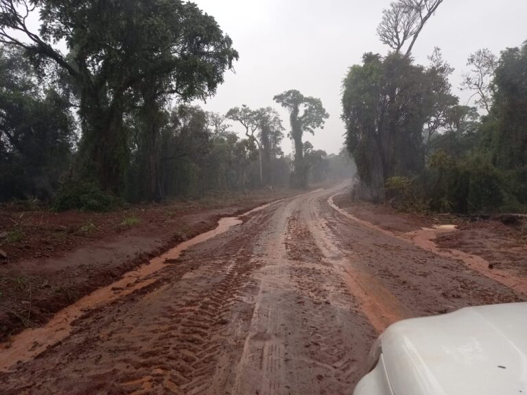 Yabotí: las lluvias disminuyeron los focos en el Lote 8 y otros incendios en áreas protegidas cercanas a las reservas de Papel Misionero, UNaM y comunidades indígenas