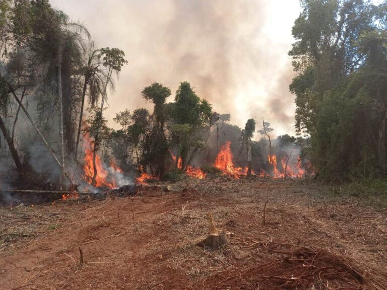 Incendios forestales en Misiones: «Es clave un cambio cultural en Yabotí para evitar quemas ilegales y que la Justicia avance en determinar las responsabilidades por los daños causados», dijo el representante legal de Juan Alberto SA
