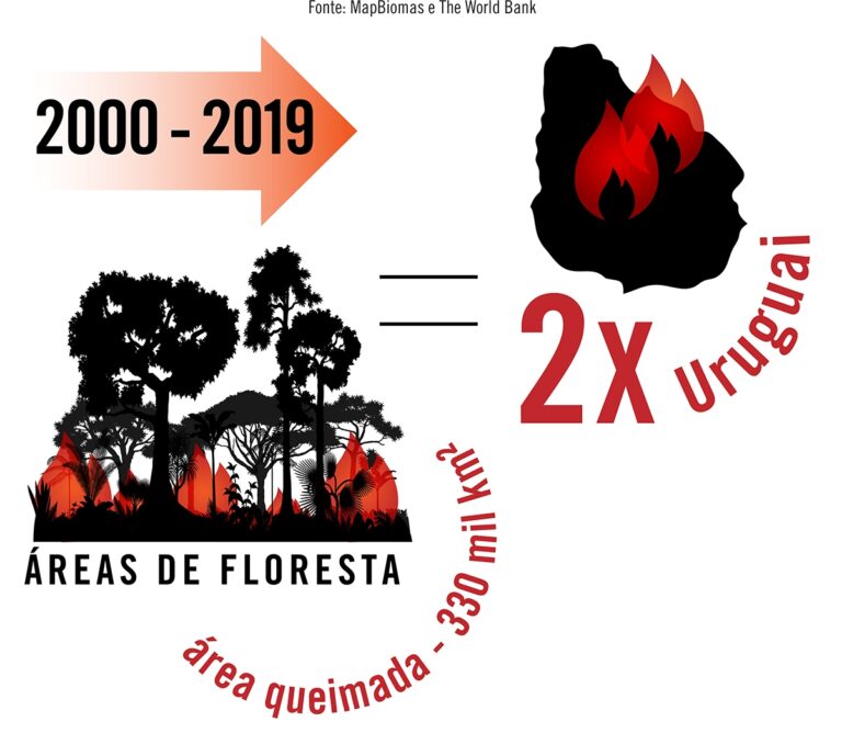 Brasil quemó en áreas forestales dos veces el territorio de Uruguay, entre 2000 y 2019