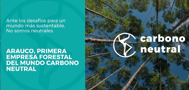 Arauco es la primera empresa forestal del mundo en ser carbono neutral