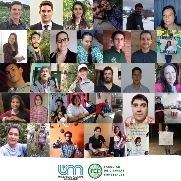 Con 87 nuevos graduados en la modalidad virtual, cerró el año la Facultad de Ciencias Forestales de la Universidad Nacional de Misiones 