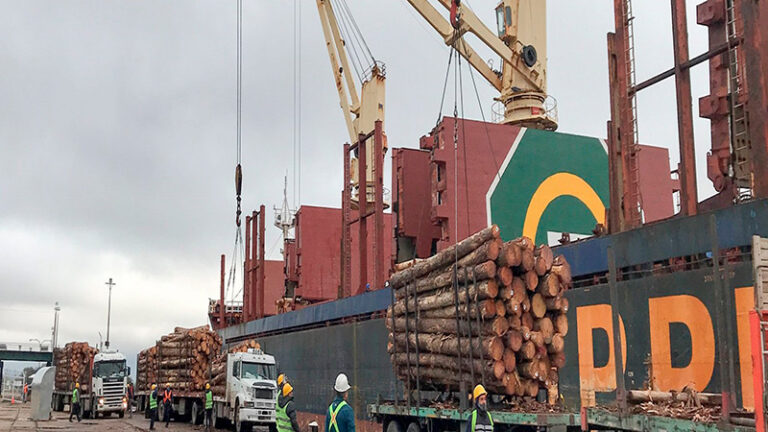 Polémica en el sector forestal argentino por las exportaciones de rollos de madera a China y las dificultades de abastecimiento a los aserraderos PyMEs de la Mesopotamia