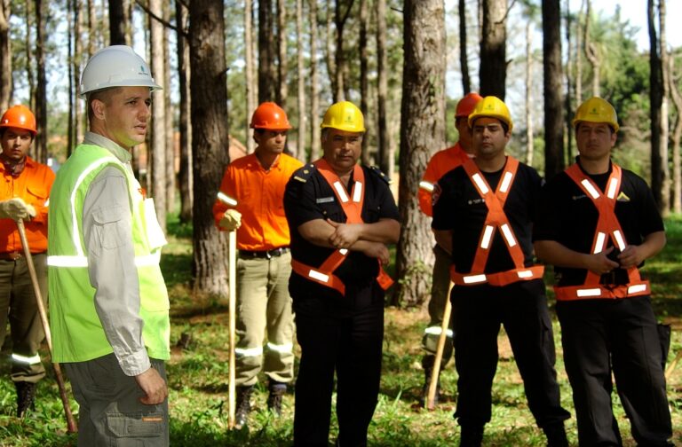 Consorcio de Protección Forestal Iguazú: «Misiones enfrenta la temporada más extrema por sequía y riesgos de incendios forestales»
