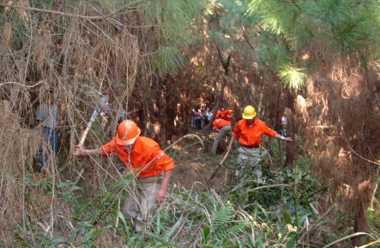 La Red de Manejo del Fuego advierte sobre la urgencia de acciones preventivas para responder eficazmente a los incendios en Argentina