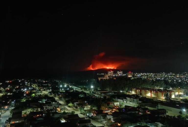 Chile: incendio forestal afectó una reserva nacional de Valparaíso y hay «altas probabilidades» de que sean intencionales
