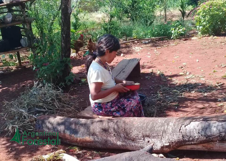 La visión de dos líderes Mbya Guaraní sobre la pandemia, sus temores y sus creencias para el futuro  