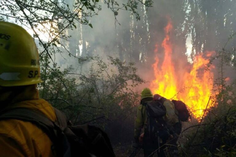 Río Negro: el incendio forestal sigue fuera de control y ya afectó 6.500 hectáreas entre El Bolsón y El Maitén