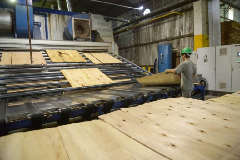 China aplica nueva normativa de reducciones adicionales de arancel para varios productos de madera
