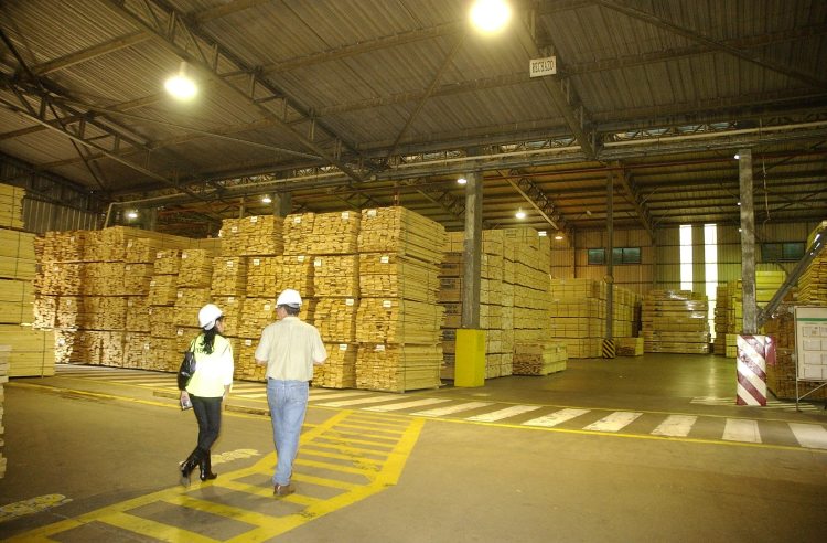 Exportar madera en tiempos de crisis: en charla virtual analizarán restricciones y oportunidades para PyMEs del sector