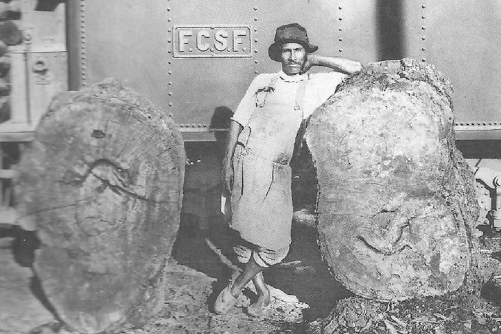 A 100 años de La Forestal: abrirán el predio de la fábrica para inaugurar un monumento al sindicalista Teófilo Lafuente en la localidad santafecina de Villa Guillermina