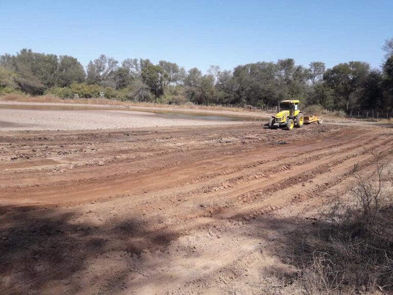 Santiago del Estero: Colegio de Forestales trabaja en proyectos que promueven la sustentabilidad