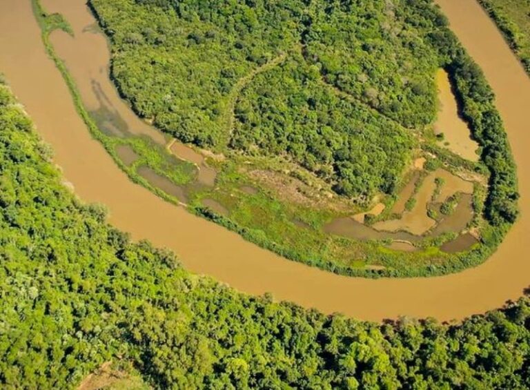 Misiones: denunciaron que industrias de producción de cerámicas afectaron la biodiversidad de la selva en galería y márgenes del arroyo Garuhapé