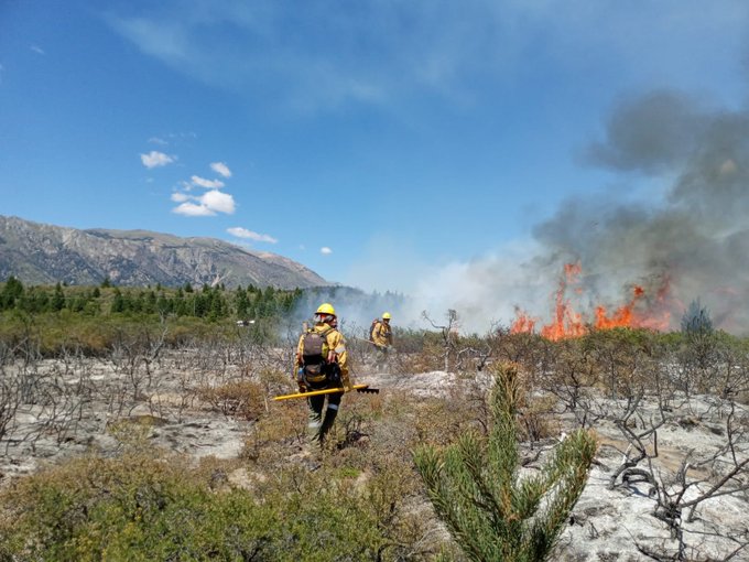 Río Negro: sigue el combate de focos activos en la zona de El Bolsón y se suman brigadistas de Córdoba