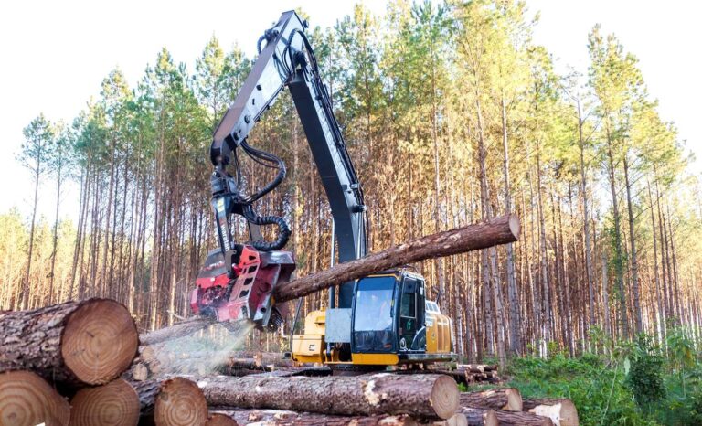 Logística y servicios forestales: «Las dificultades de créditos a tasas razonables limitan el crecimiento de una PyME del sector», asegura José Vera