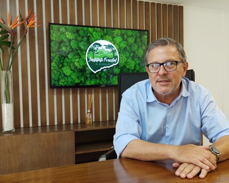 Con el Instituto Provincial, Misiones recupera su potestad en la economía yerbatera