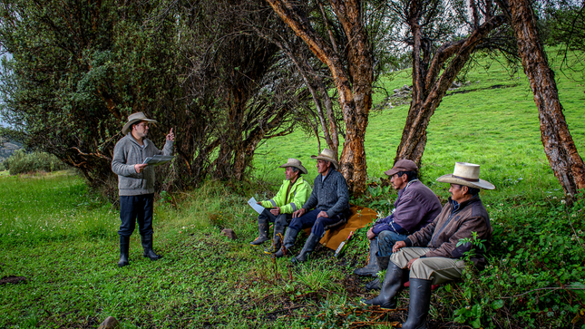Perú: rigen los lineamientos para determinar los valores de los servicios de los ecosistemas forestales y la fauna silvestre en favor de la sociedad