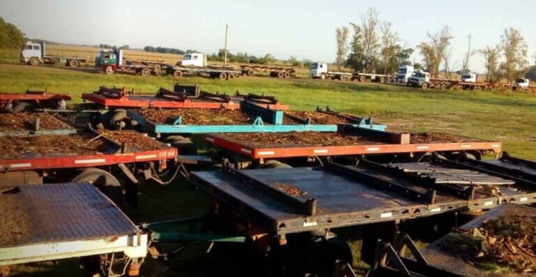 Corrientes: «Al igual que en Misiones, hay gran preocupación en la zona de Santa Rosa por el desabastecimiento de rollos de madera de calidad», dijo el presidente de la APEFIC