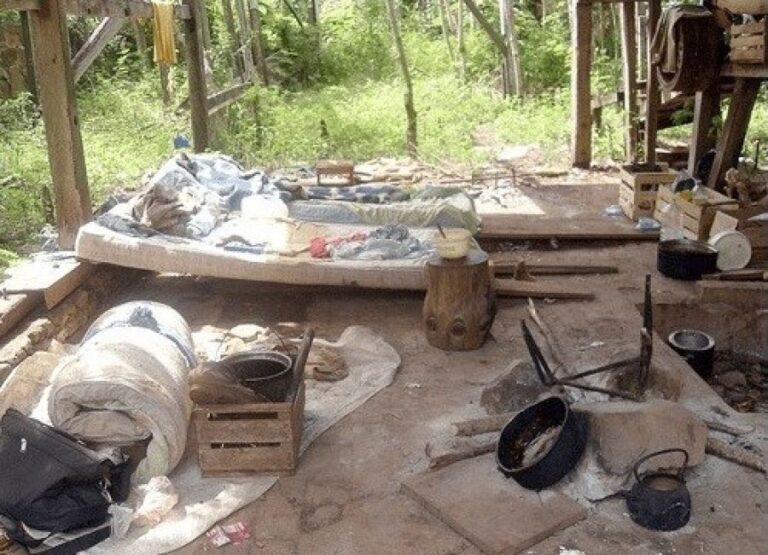 Explotación laboral en el sector de producción de resina de Corrientes: rescataron a 65 trabajadores oriundos de Misiones víctimas del trabajo esclavo