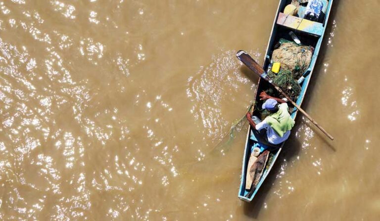 El mundo registra una triple crisis del cambio climático: pérdida de biodiversidad, contaminación y desperdicios
