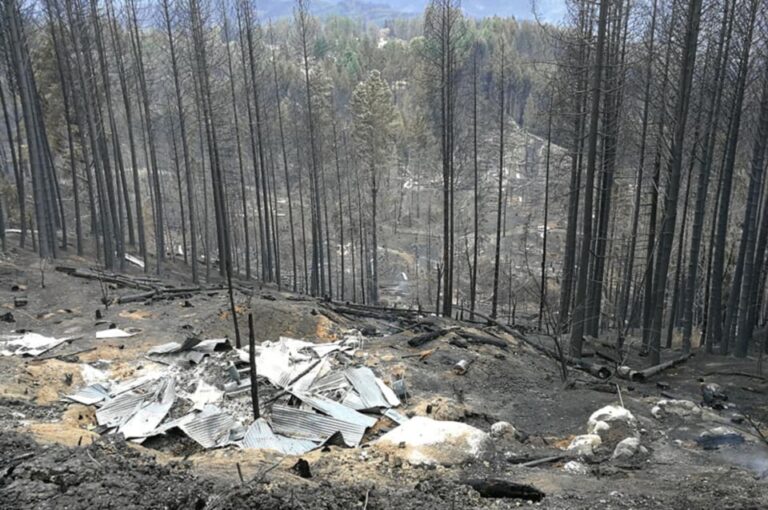 Incendios forestales: Alberto Fernández firmó convenios de más de $700 millones para la provincia de Chubut y recorrió la zona afectada por el fuego