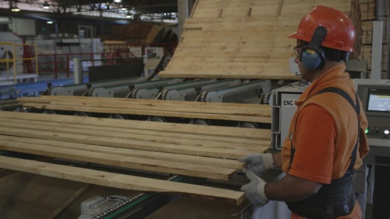 Crisis de la madera | FAIMA presentó al Gobierno Nacional cuatro medidas urgentes para reactivar la economía de las PyMEs