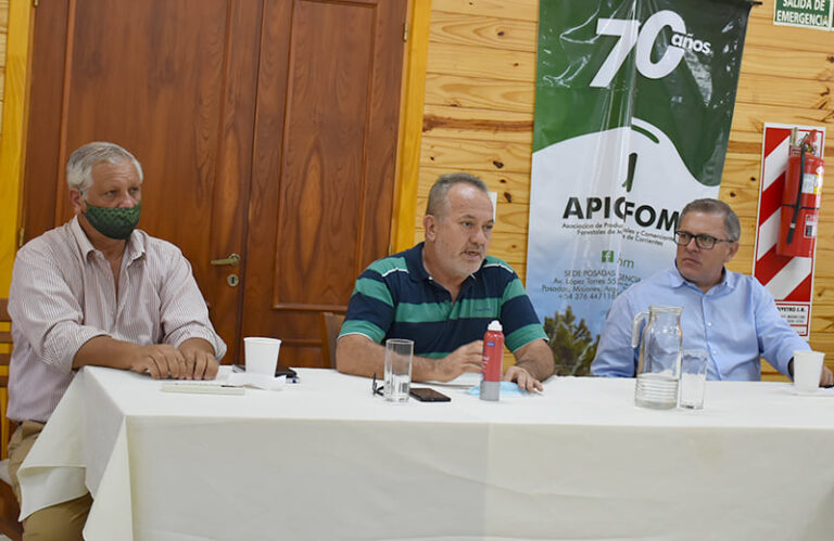 Misiones: empresarios y productores debatieron sobre escenarios del mercado forestal, exportaciones y precios de la materia prima