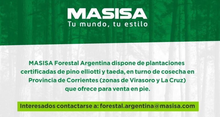 MASISA Forestal Argentina ofrece para venta en pie plantaciones certificadas de pino elliotti y taeda en Corrientes