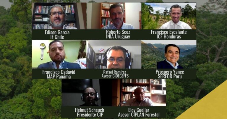 Estudiantes e investigadores promueven el diálogo de políticas para la reforestación y restauración en países de América Latina
