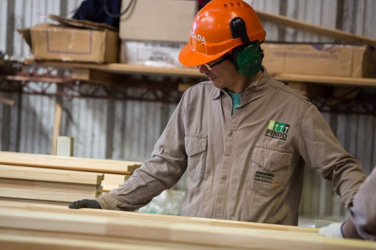 Misiones | FAIMA, UNaM y OMIMyM lanzaron una encuesta semestral foresto-industriales