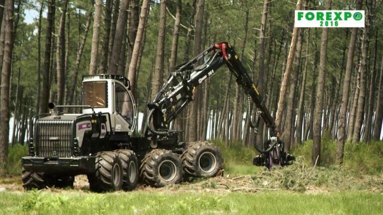 Eventos forestales: En Francia, en junio se realizará la FOREXPO 2021 en un predio al aire libre