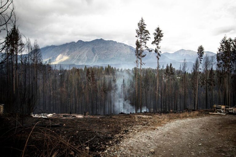 Mapuches le responden a Pichetto y Weretilneck: «Somos nosotros quienes hacemos el mayor esfuerzo para cuidar el territorio de los negocios inmobiliarios, forestales e hidroeléctricos» 