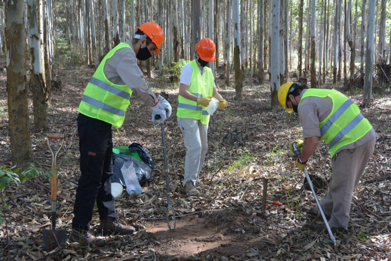 Carbono orgánico en suelos de Entre Ríos