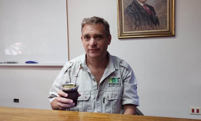 Rafael Scherer, de Pindó SA: “Se espera mantener un equilibrio en el mercado interno de madera y sostener las exportaciones”