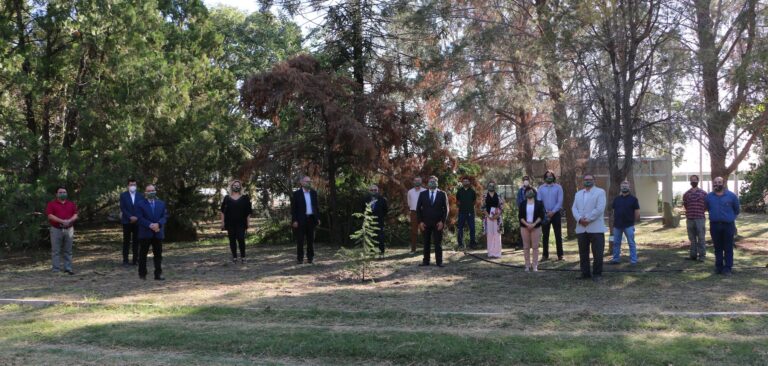 Cedro, araucaria, ciprés, árboles protagonistas en la celebración de los 63 años de la Facultad de Ciencias Forestales de la UNSE, pionera en el país