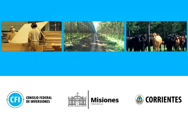 Seminario Internacional Virtual: especialistas de Finlandia, España y Argentina marcarán las perspectivas tecnológicas y comerciales en la cadena de valor foresto-industrial