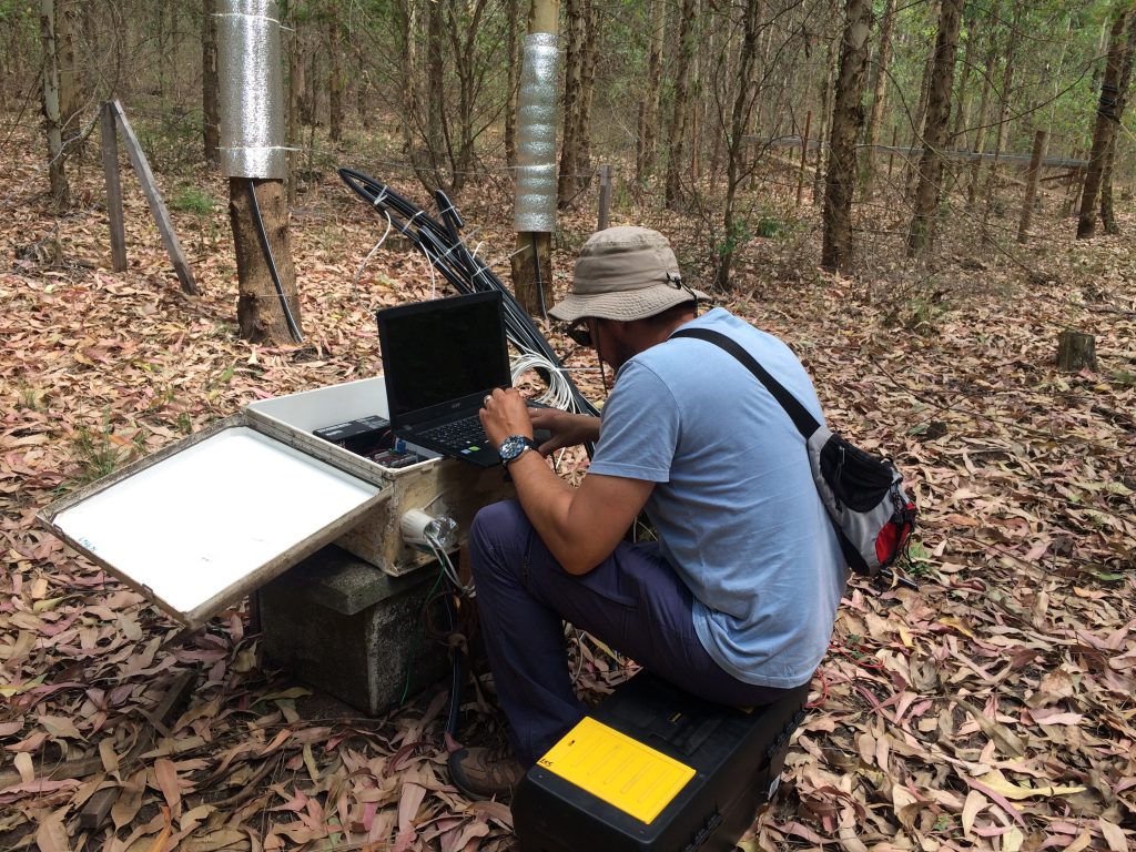 1 Investigacion agua y forestacion