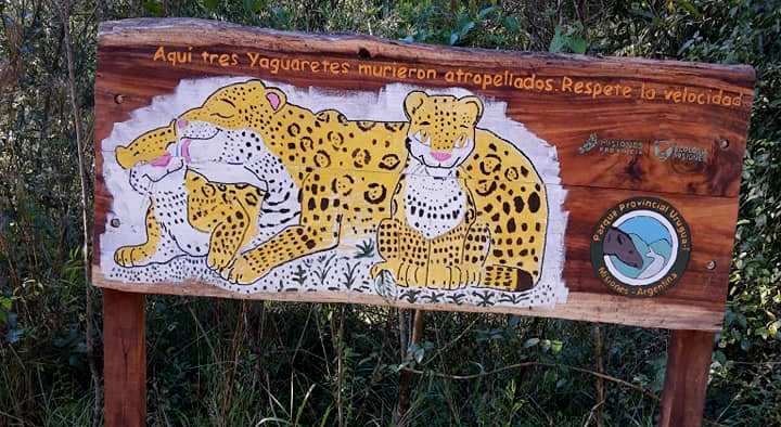Educación ambiental en Misiones: niños y niñas de la zona Norte se apropiaron de la campaña «Queremos fauna para nuestro futuro»