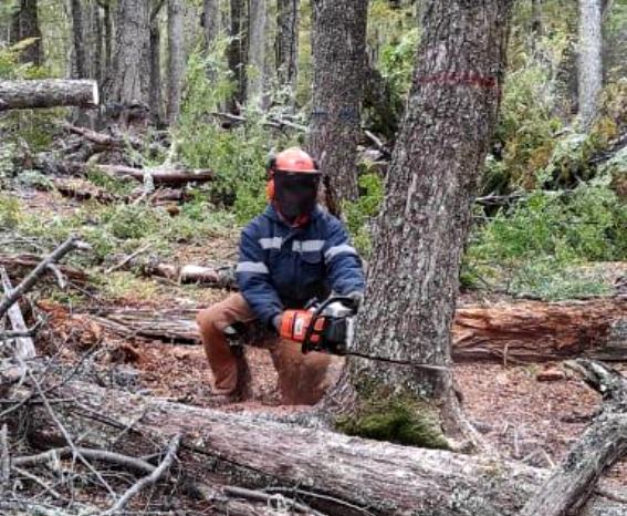 Tierra del Fuego: dictaron una capacitación en formación de Competencias Laborales en el rol de Motosierristas