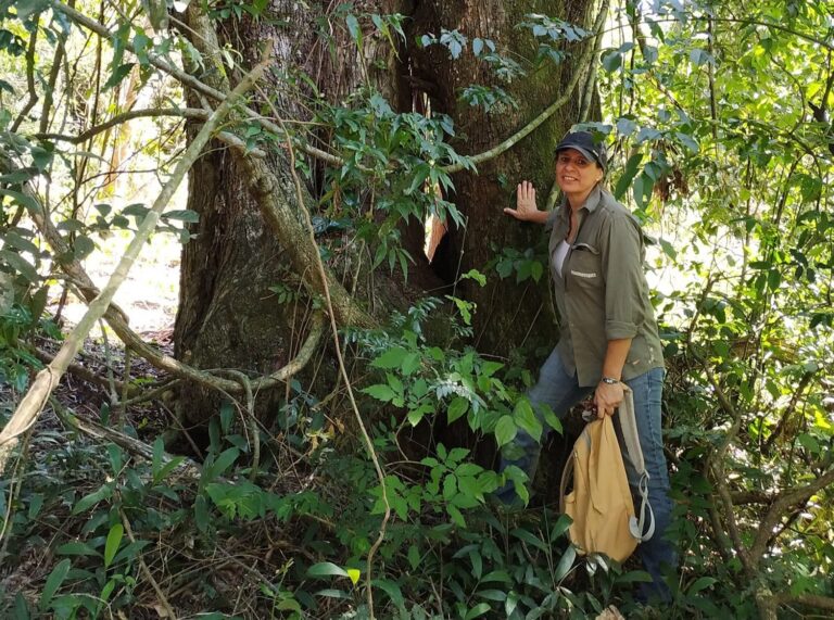 Misiones: una ingeniera forestal fue electa en la presidencia de la Agencia de Desarrollo Económico del Municipio de Eldorado
