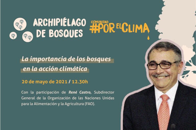 Agenda Virtual: Rene Castro, subdirector general de la FAO, expondrá este jueves #20M sobre la importancia de los bosques en la acción climática