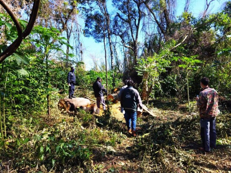 Paraguay: autoridades ambientales, forestales y judiciales intervinieron en la invasión de tierras en la reserva San Rafael, último reducto del Bosque Atlántico en Itapúa