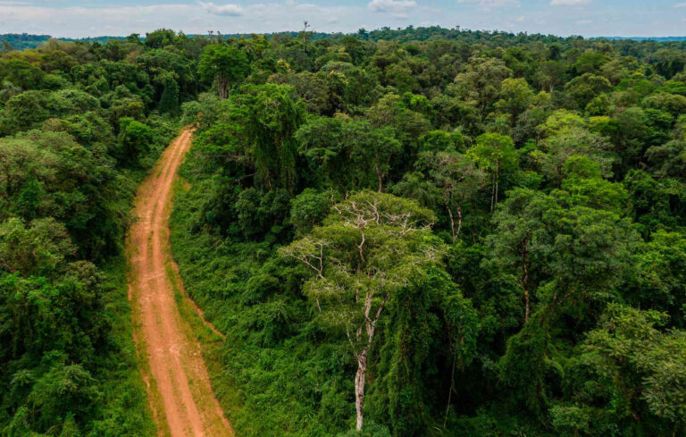 CEM y APICOFOM pidieron una instancia de diálogo con Ecologia ante el reclamo del sector agroforestal por avanzar en medidas «burocráticas y arbitrarias» como el nuevo registro de infractores ambientales 